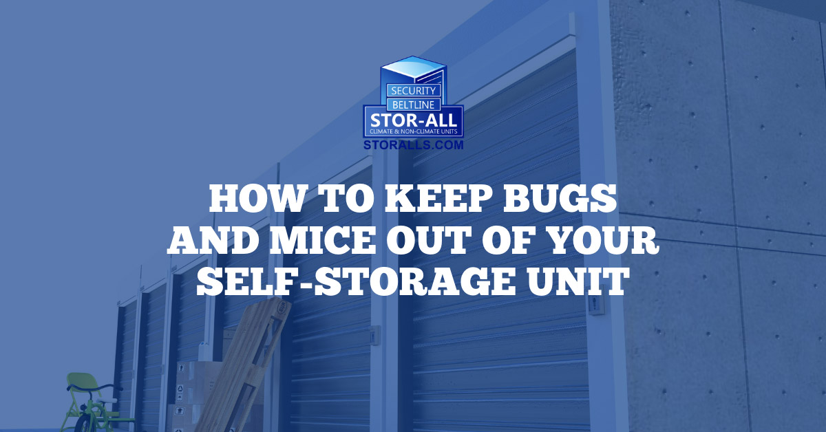 How to keep bugs and mice out of your self-storage unit