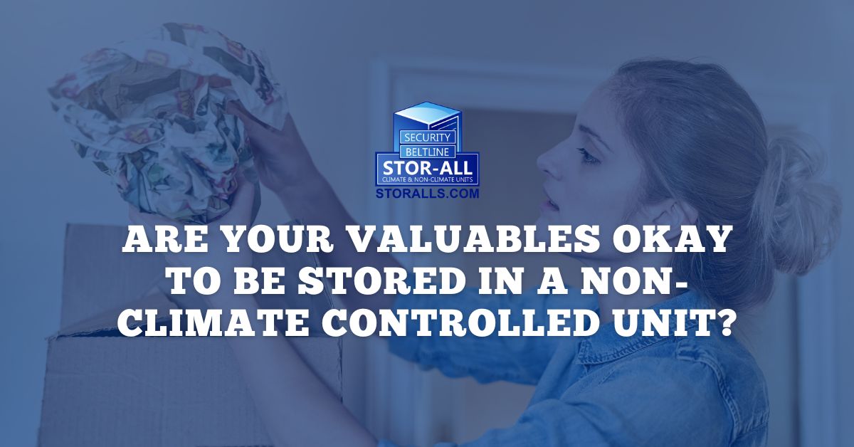 Are Your Valuables Okay to be Stored in a Non-Climate Controlled Unit?