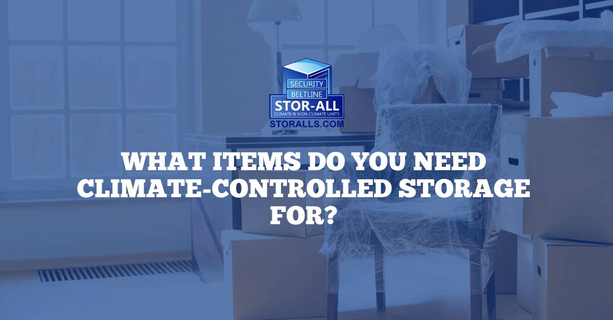 What items do you need climate-controlled storage for?